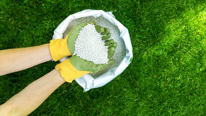 Artículo de EL PAÍS Escaparate que describe el abono para césped específico que aplicar en los meses de primavera.