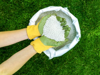 Artículo de EL PAÍS Escaparate que describe el abono para césped específico que aplicar en los meses de primavera.