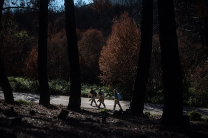 Los bomberos caminan por el paisaje calcinado de Zamora, tras los catastróficos incendios de este verano en esa provincia.