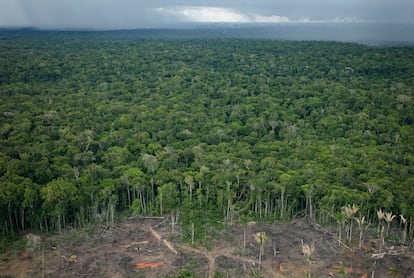 Deforestación en la selva amazónica en las afueras de Manaus (Brasil), en una fotografía de archivo.