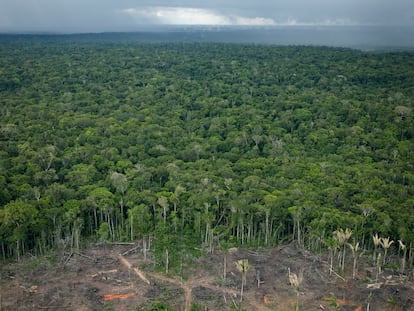 Imagem de uma área desmatada da Amazônia.