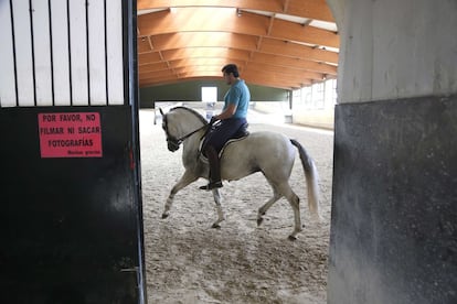 Es el momento del entrenamiento de Gaiato, un corcel con "una gran expresividad y un valor que raya en lo temerario a la hora de dejarse llegar a los toros", afirma su propietario. 