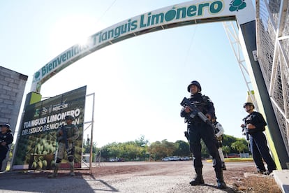 Elementos de la Guardia Nacional, Ejército Mexicano y Guardia Civil resguardan el tianguis limonero de Apatzingán, así como las empacadoras de limón que reciben el fruto para su distribución en Apatzingán, Michoacán, el 28 de enero 2026.