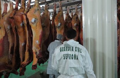 Registro de la Guardia Civil en 2017 en uno de las salas de despiece de caballos.