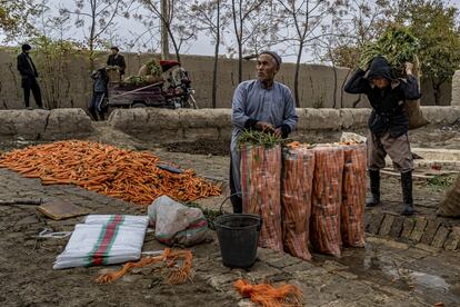 Un hombre lava zanahorias y las mete en sacos en Mazar-e Sarif. Un saco cuesta 300 afganis (3,5 euros).<p>La lucha contra el coronavirus -que ha causado más de 2.300 enfermos y casi 70 muertes a 1 de mayo de 2020- es una guerra más que los afganos tienen que enfrentar: cómo cambiará su sociedad, tradiciones y vida cotidiana todavía está por ver.