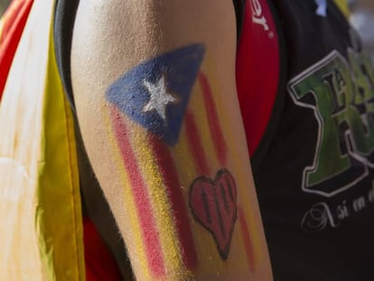 Un manifestante con una &#039;estelada&#039; pintada en el brazo durante la pasada Diada de Catalu&ntilde;a. 