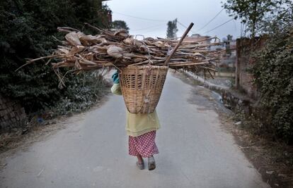 Una mujer se dirige a su casa cargada con le?a en su espalda en Lalitpur, Nepal, hoy 21 de diciembre 2015. Segn informes locales, los nepaleses se ven obligados a depender de la le?a para hacer frente a la escasez de combustible y gas para cocinar debido a un bloqueo de la frontera llevado a cabo por la India.