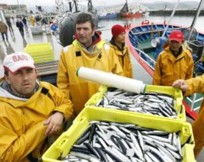 Tripulantes de un pesquero custodian las cajas de anchoas recién desembarcadas en el puerto de Santoña (Cantabria). EFE/Archivo