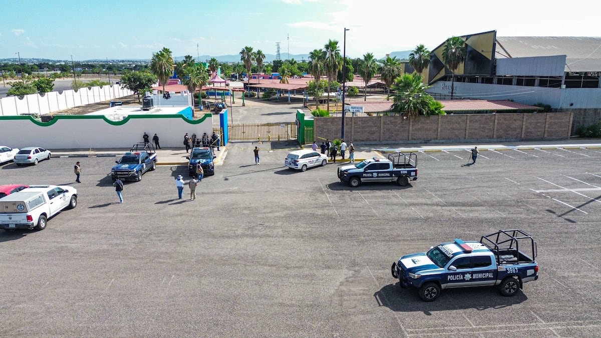 Violencia en Culiacán: Cancelada la Feria Ganadera de Sinaloa por la guerra  entre carteles | EL PAÍS México