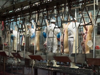 Instalaciones de un matadero de Binefar, Huesca.