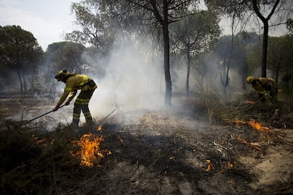 Miembros del Infoca trabajan en el incendio.