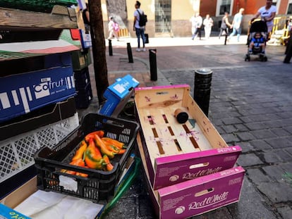 Comida tirada en la basura. 