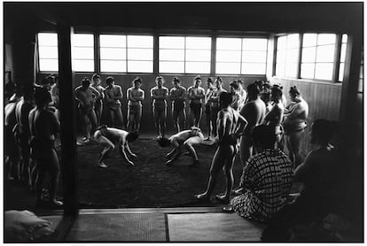 Luchadores de Sumo, Tokio, Japón, 1959