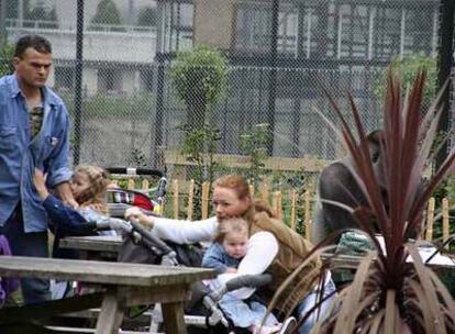'Bokito' huyó de su jaula del zoológico Blijdorp de Rotterdam hasta el restaurante del centro