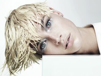 Crista Cober, un camaleón canadiense