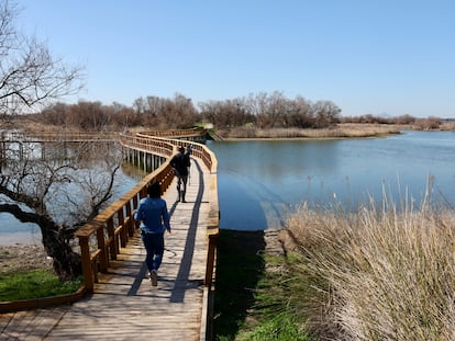 Recorrido por la zona inundada en Las Tablas de Daimiel.