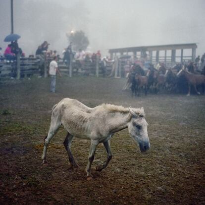 Entre sus proyectos más destacados cabe mencionar 'Ellos y nosotros' (2006), que recoge las fotografías e historias de veteranos de la Guerra Civil española de los dos bandos o 'Defensores' (2008), en colaboración con Amnistía Internacional.