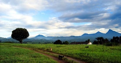 El Parque de Virunga ocupa 700.000 kil&oacute;metros cuadrados. 