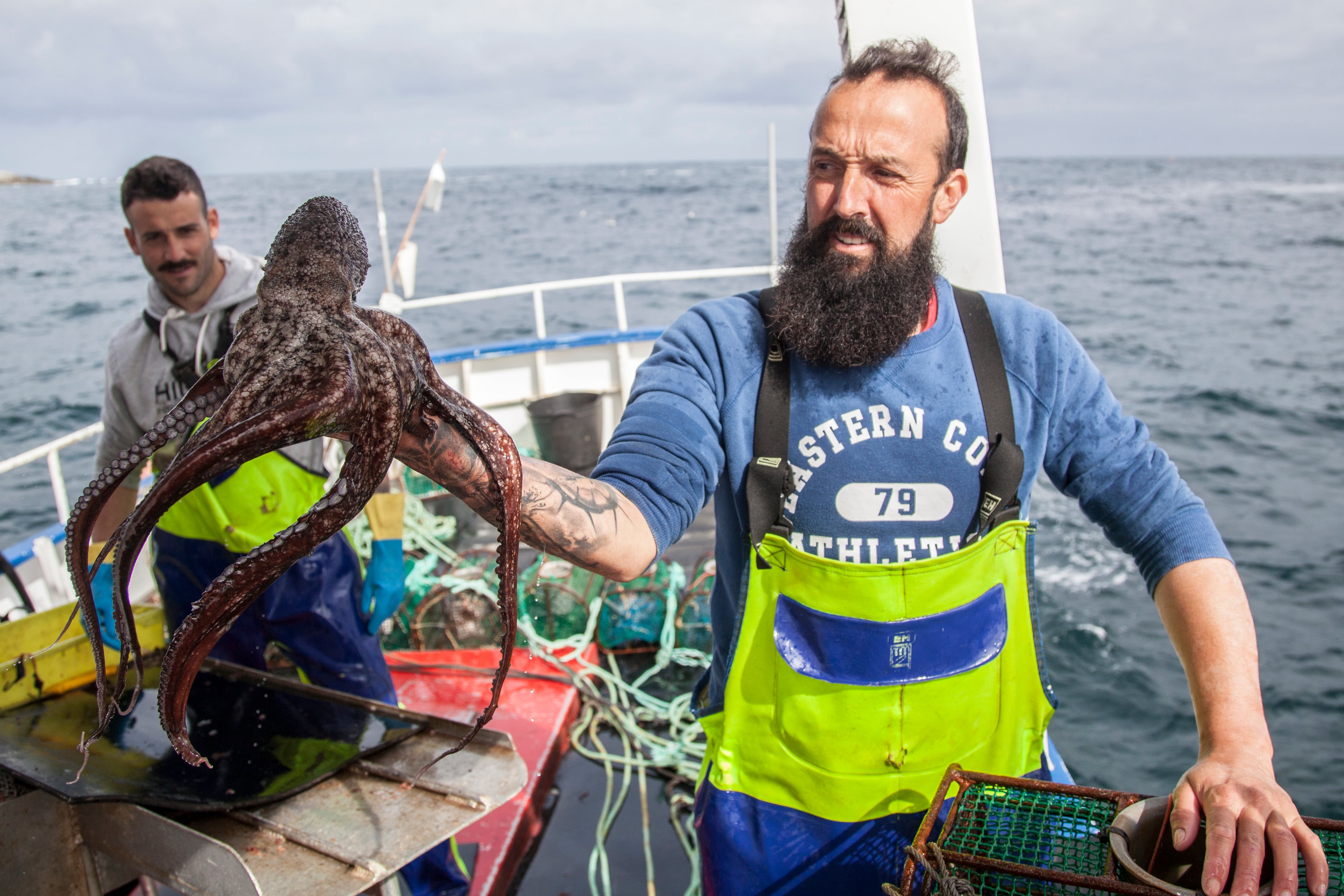 El pulpo del occidente de Asturias, entre los métodos tradicionales y la caída de capturas: “La pesquería está en peligro” 