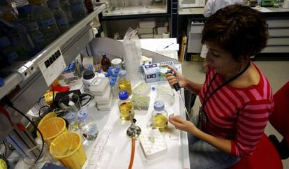 Laboratorios e instalaciones del Centro de Investigaciones Biol&oacute;gicas del CSIC. 