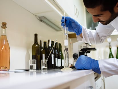 A researcher works in an enological laboratory.