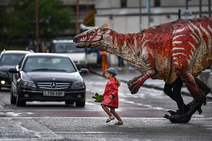 Freya Smith, de tres años, lidera una de las marionetas de dinosaurios gigantes de Erth en Edimburgo (Escocia). La compañía de teatro australiana Erth presenta su espectáculo más vendido 'Dinosaurs Zoo' como parte del programa 'Underbellys Fringe', con títeres de dinosaurios gigantes que caminan, rugen y parpadean como si fueran reales.