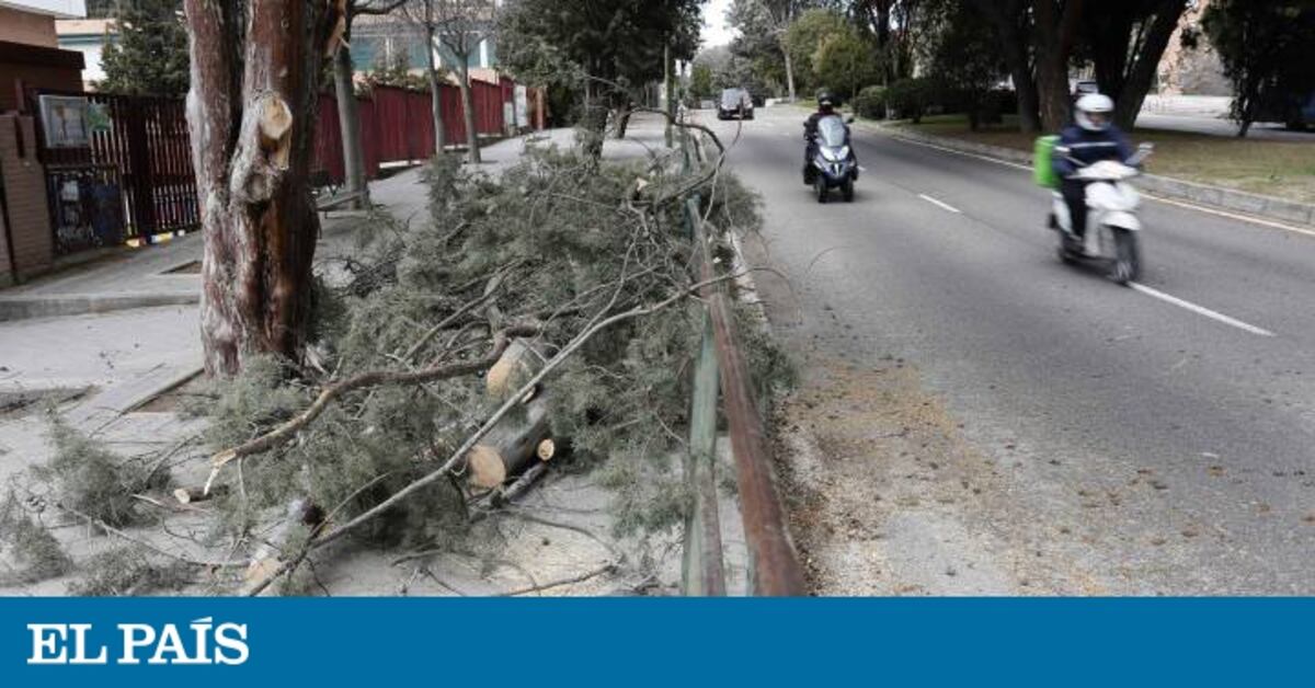La Aemet activa la alerta amarilla por vientos este lunes en todo ...