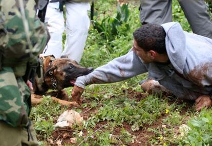 Un perro policía israelí ataca a un manifestante en la ciudad de Kedum, en Cisjordania.