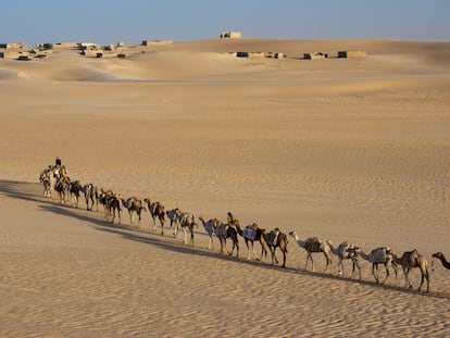 Una caravana de mercaderes nómadas en el desierto de Malí.