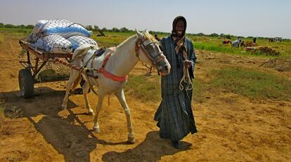 Un carretero se lleva sacos de arroz para su venta en la Isla A Morphil, al norte de Senegal.