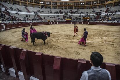 El toreo en Colombia tendrá que legislarse este año en el Parlamento antes de marzo de 2019 cuando será multado automáticamente.