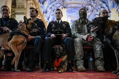 Un perro de la polica nacional a la izquierda, un perro de rescate de la brigada de bomberos de Pars en el centro y un perro del ejrcito francs a la derecha esperan con sus amos antes de recibir un premio nacional de perros hroes en Pars, el 18 de abril de 2019.