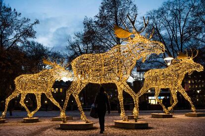 En Suecia no pueden faltar los renos para crear ambiente de navidad. En Estocolmo se han encendido más de 700.000 luces que, además de renos, forman motivos navideños como estrellas. Además, desde ahora hasta Nochebuena hay una decena de mercados navideños para comprar artesanía y progar el típico 'glögg' sueco, un vino caliente aromático.