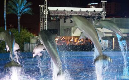 Actuación nocturna en el Oceanogràfic de Valencia.