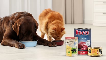 Artículo de EL PAÍS Escaparate que describe la mejor alimentación húmeda para gatos y perros disponible en Zooplus.