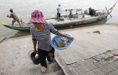 Una mujer carga recipientes con pescado del río Tonle Sap en Phnom Penh, Camboya el 13 de octubre. La pesca, después del cultivo del arroz, la fuente de sustento para los camboyanos a lo largo del río Mekong y Tonle Sap Lake.