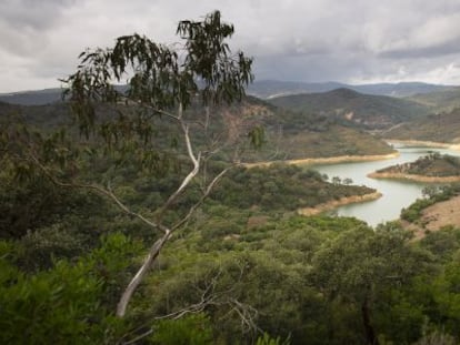 Finca La Almoraima, ubicada en Castellar de la Frontera (C&aacute;diz).