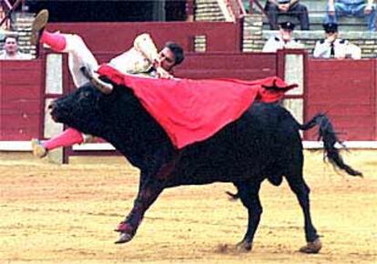 Momento en que El Califa es cogido en la lidia de su primer toro.