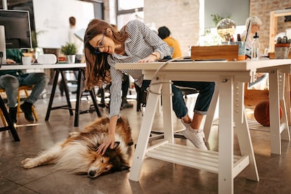 A veces el problema no son las fobias, sino la distracción que pueden suponer los animales en el lugar de trabajo.
