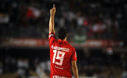 Encuentro de Liga disputado entre el Xerez y el Sevilla . Negredo alza el brazxo después de hacer el primer gol del Sevilla en la temporada 2009.