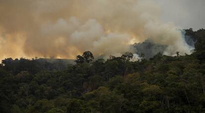 Un incendio en el bosque de Pozuzo, en Perú. 