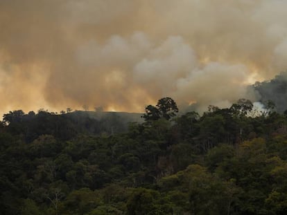 Um incêndio no bosque de Pozuzo, em Peru.