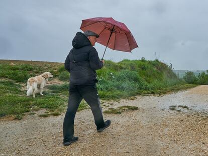 VITORIA, 27/04/2024.-Un hombre acompañado de su perro recorre bajo la lluvia el anillo verde de Vitoria. Se prevé que una baja atlántica deje cielos nubosos o cubiertos y con precipitaciones en buena parte de la Península, barriéndola de oeste a este, y llegando a Baleares al final del día. Será poco probables en el extremo sureste peninsular y oeste de Andalucía. EFE / L. Rico
