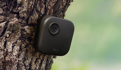 Cámara Blink Outdoor 4 de Amazon colocada en un árbol