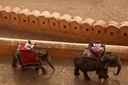 A solo 10 kilómetros de la bella ciudad rosa de Jaipur (India) se encuentra el fuerte de Amer, un palacio hindú situado en lo alto de una colina al que se puede acceder a lomos de un elefante, sobre todo si no queremos desfallecer en sus escaleras de serpentina. Los elefantes visten telas tradicionales y tienen sus caras pintadas de vivos colores. Al llegar arriba puedes ver todo lo que te has ahorrado en andar y suspirar tranquilo.