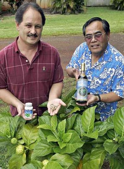 Anuncio de productos con noni, un fruto del Pacífico al que se han atribuido efectos curativos.