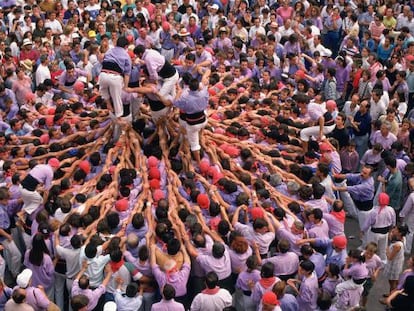 Levantando un 'castell' a partir de la 'pinya' en las fiestas de Santa Tecla, en Tarragona.