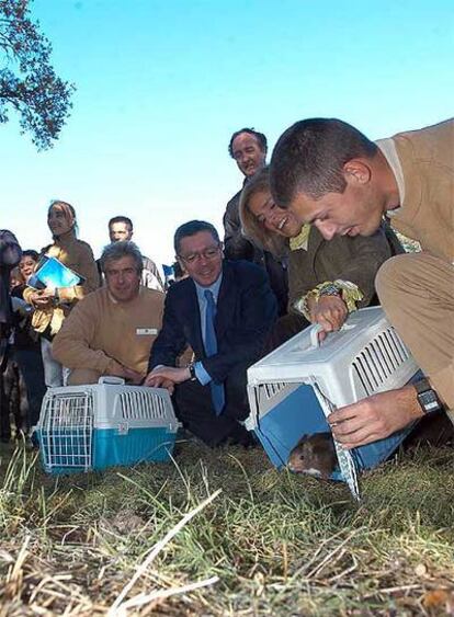 Ruiz-Gallardón y Botella contemplan una suelta de animales en el parque.