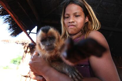 Criança brinca com macaco de estimação na aldeia Guyraroka, no Mato Grosso do Sul.