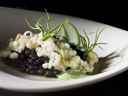 'Lentejas y calamar', plato 'gastrobotánico' de Rodrigo de la Calle.